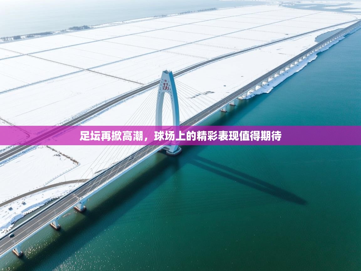 足坛再掀高潮,球场上的精彩表现值得期待 第1张