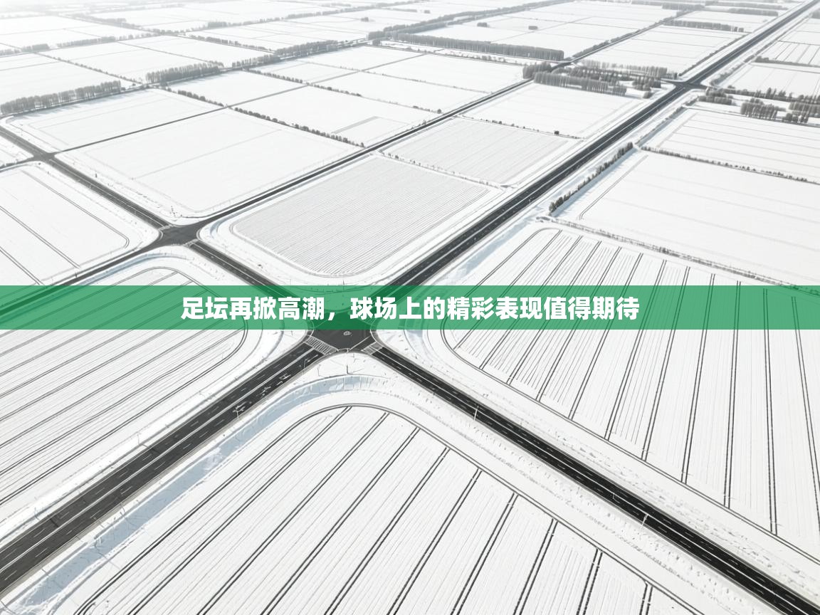 足坛再掀高潮,球场上的精彩表现值得期待 第2张