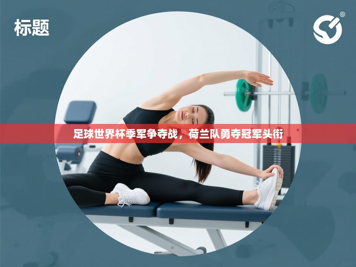 足球世界杯季军争夺战，荷兰队勇夺冠军头衔  第2张