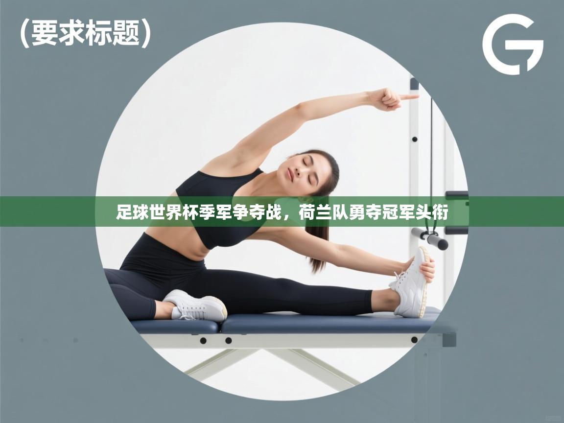 足球世界杯季军争夺战，荷兰队勇夺冠军头衔  第1张