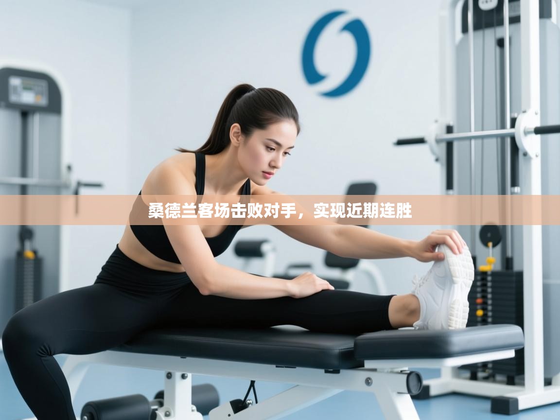 桑德兰客场击败对手，实现近期连胜  第1张