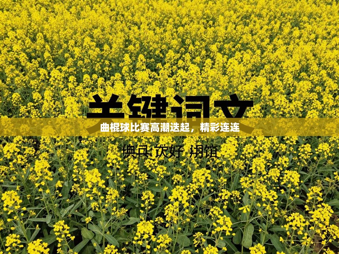 曲棍球比赛高潮迭起，精彩连连  第1张