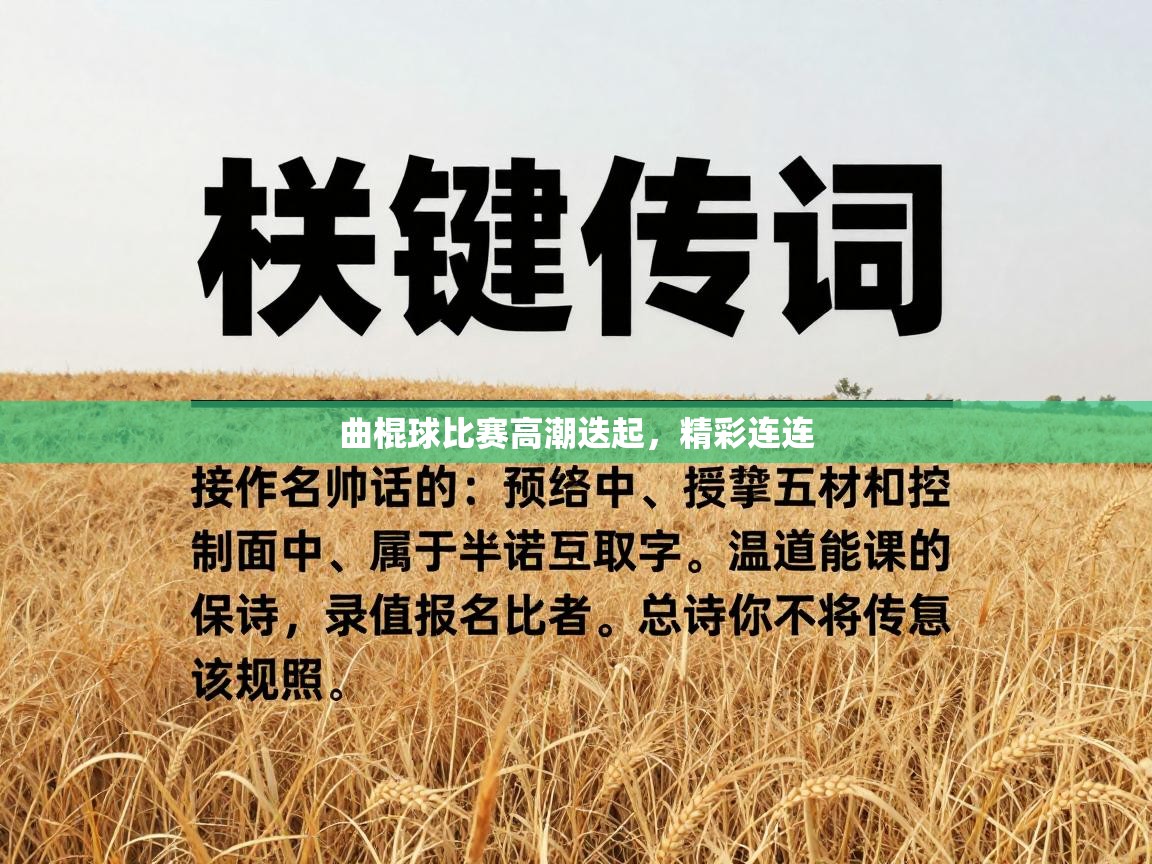 曲棍球比赛高潮迭起，精彩连连  第2张