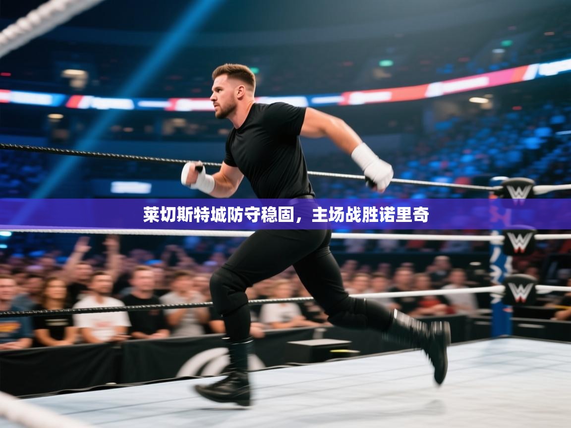 莱切斯特城防守稳固，主场战胜诺里奇  第1张