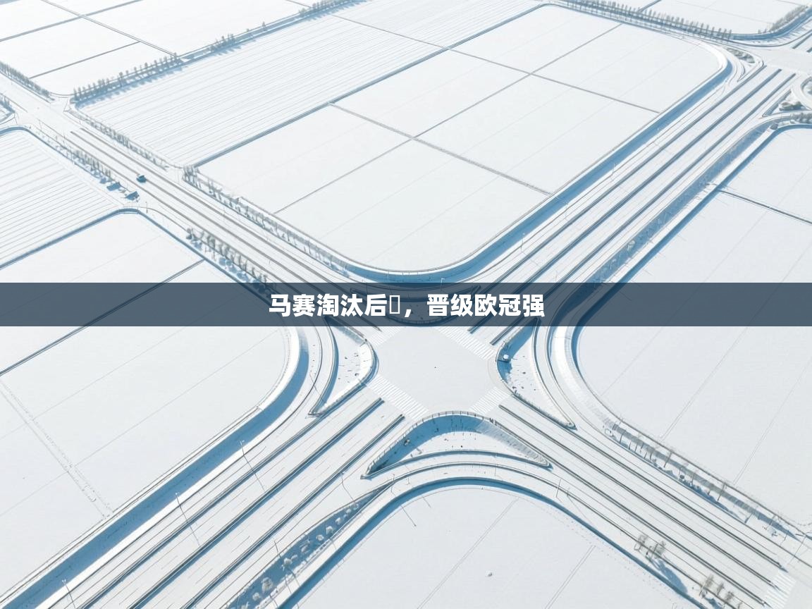 马赛淘汰后塵,晋级欧冠强 第1张