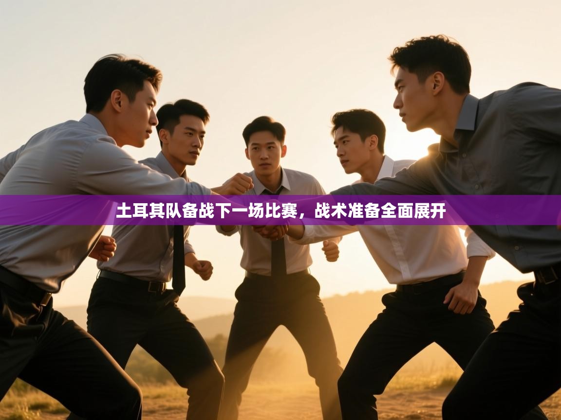 土耳其队备战下一场比赛，战术准备全面展开  第2张